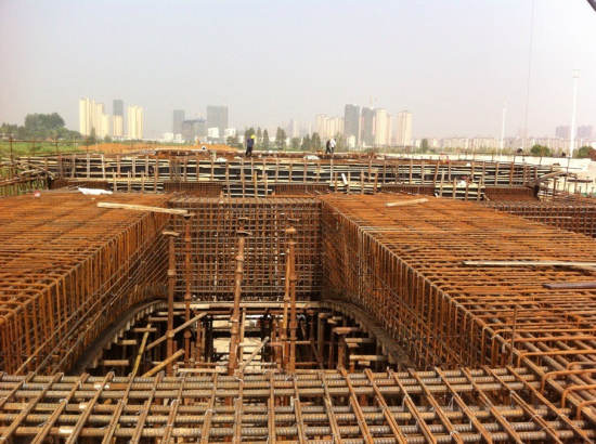 纲手的秘密免费观看全集