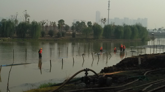 纲手的秘密免费观看全集