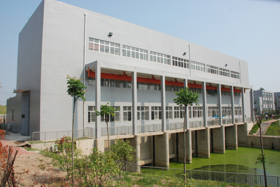 纲手的秘密免费观看全集