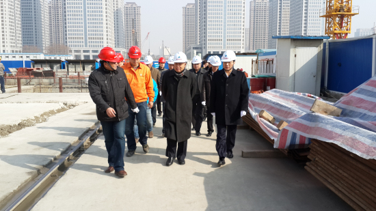 纲手的秘密免费观看全集