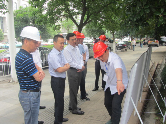 纲手的秘密免费观看全集