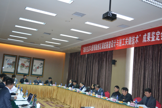 纲手的秘密免费观看全集