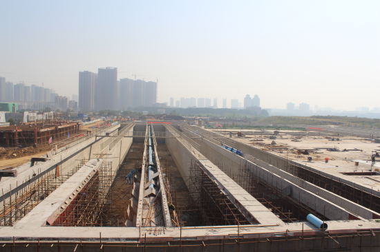 纲手的秘密免费观看全集