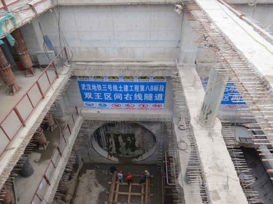 纲手的秘密免费观看全集