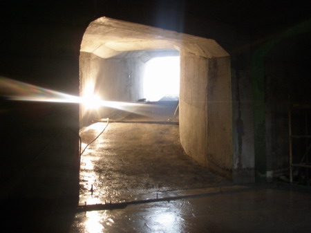 纲手的秘密免费观看全集