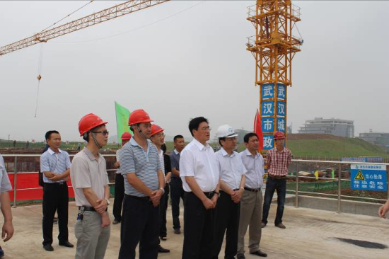 纲手的秘密免费观看全集