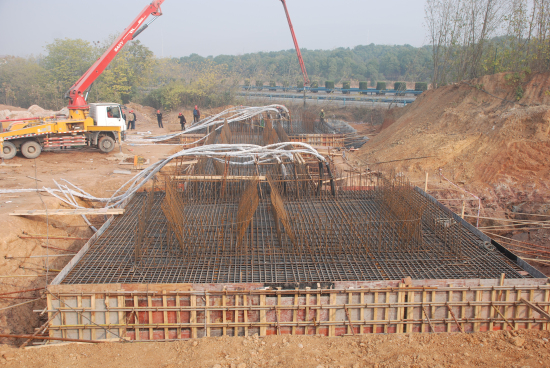 纲手的秘密免费观看全集