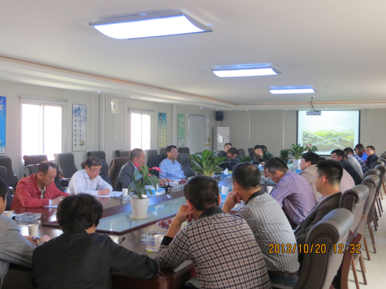 纲手的秘密免费观看全集