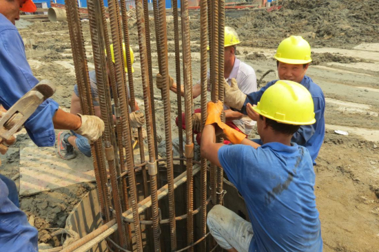 纲手的秘密免费观看全集