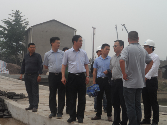 纲手的秘密免费观看全集