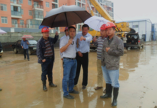 纲手的秘密免费观看全集