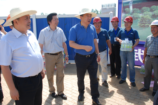 纲手的秘密免费观看全集