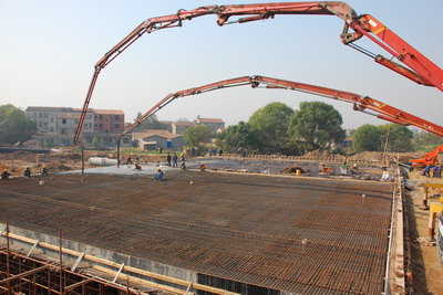 纲手的秘密免费观看全集