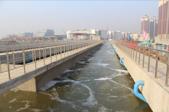 纲手的秘密免费观看全集