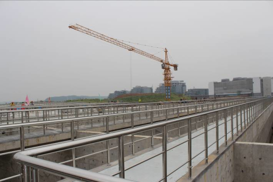 纲手的秘密免费观看全集