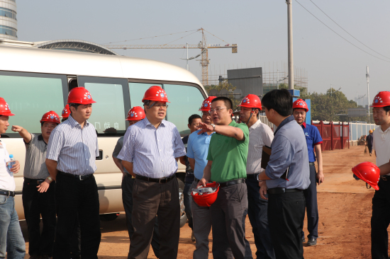 纲手的秘密免费观看全集