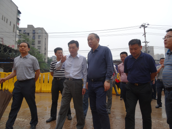 纲手的秘密免费观看全集