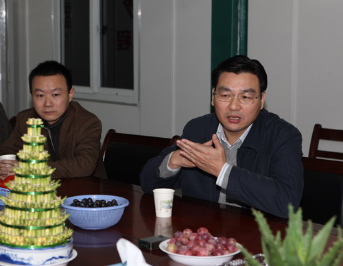 纲手的秘密免费观看全集