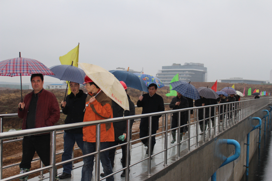 纲手的秘密免费观看全集