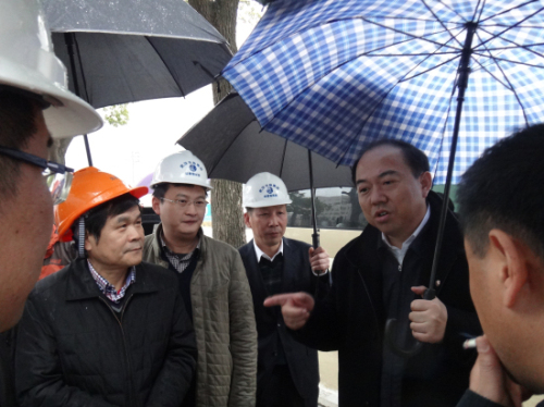 纲手的秘密免费观看全集