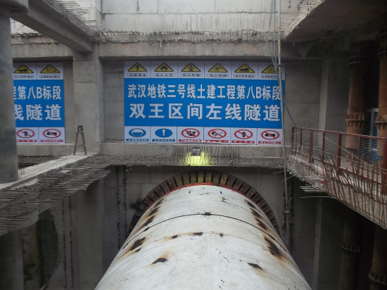 纲手的秘密免费观看全集