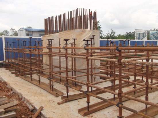 纲手的秘密免费观看全集