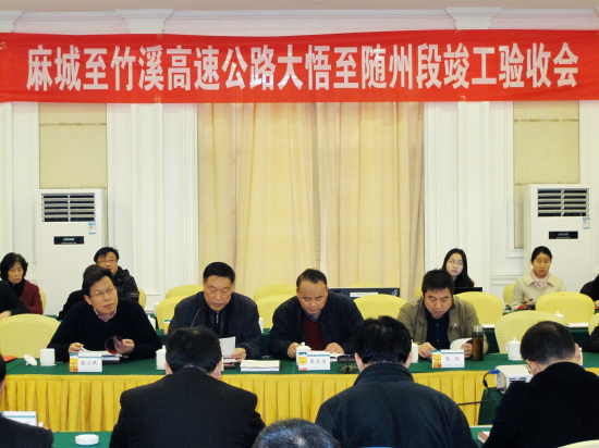 纲手的秘密免费观看全集