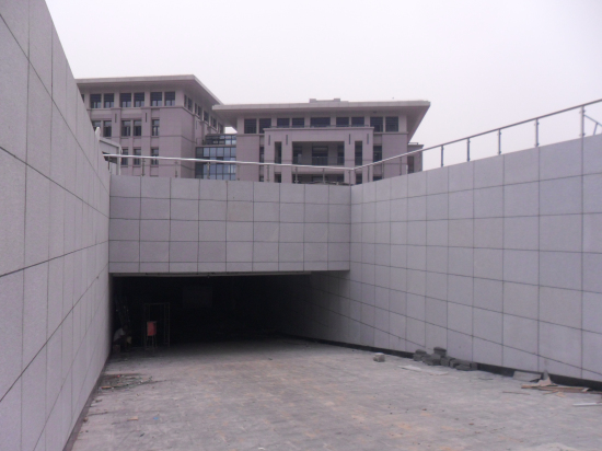 纲手的秘密免费观看全集