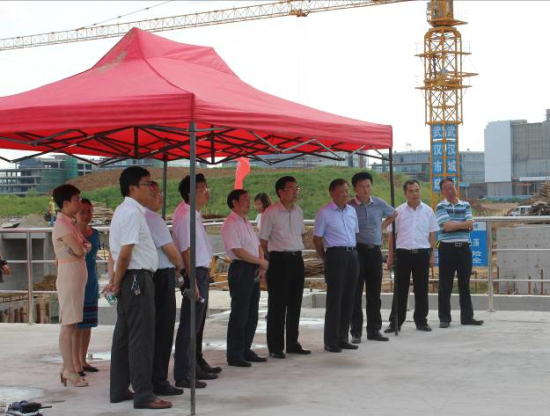 纲手的秘密免费观看全集