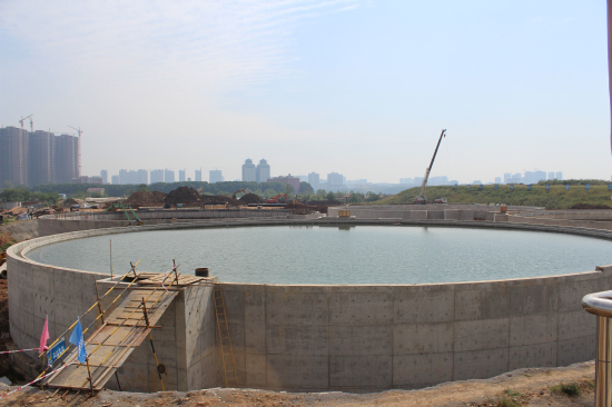 纲手的秘密免费观看全集