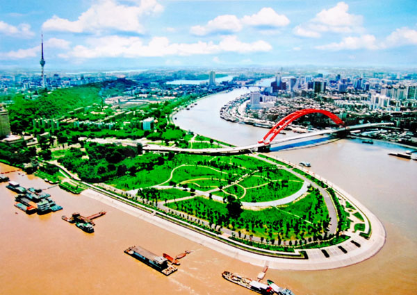 纲手的秘密免费观看全集