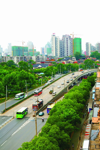 纲手的秘密免费观看全集