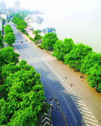 纲手的秘密免费观看全集