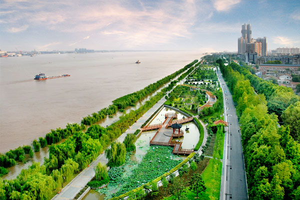 纲手的秘密免费观看全集