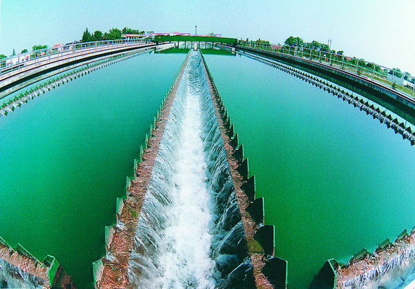 纲手的秘密免费观看全集