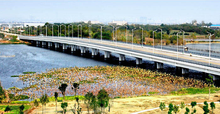 纲手的秘密免费观看全集