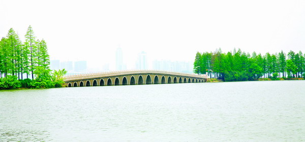 纲手的秘密免费观看全集