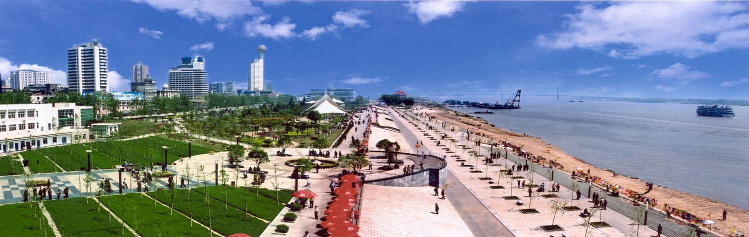 纲手的秘密免费观看全集