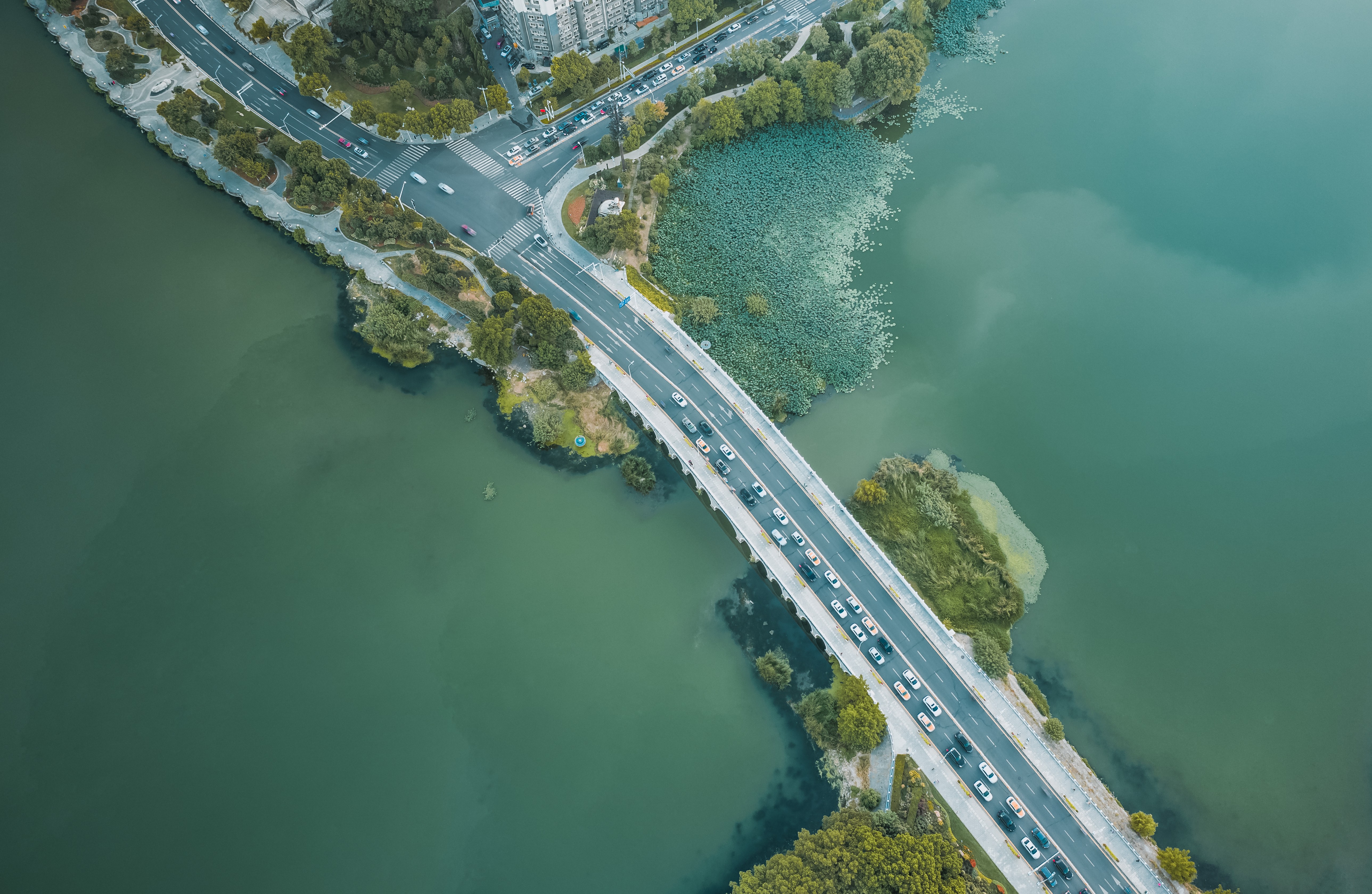 武昌文明路双湖桥（中国市政金杯示范工程） (2).jpg