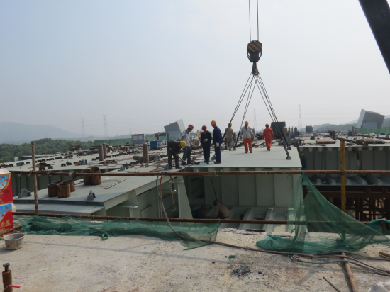 纲手的秘密免费观看全集