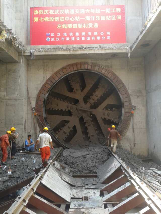 纲手的秘密免费观看全集