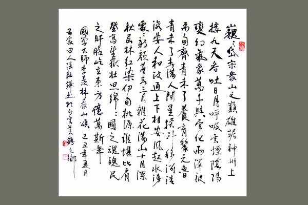 纲手的秘密免费观看全集