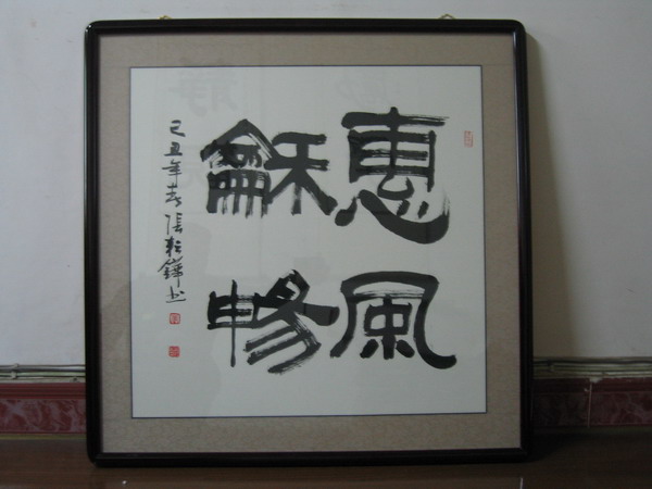 纲手的秘密免费观看全集