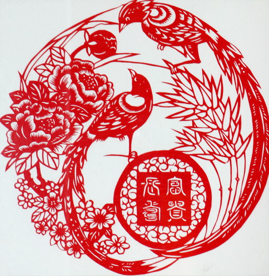 纲手的秘密免费观看全集