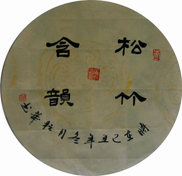 纲手的秘密免费观看全集