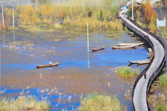 纲手的秘密免费观看全集