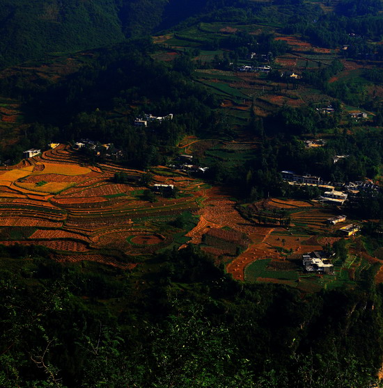 纲手的秘密免费观看全集