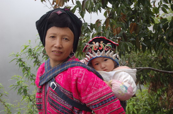 纲手的秘密免费观看全集