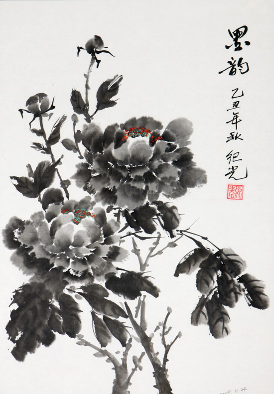 纲手的秘密免费观看全集