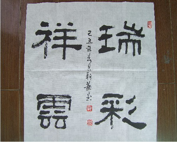 纲手的秘密免费观看全集